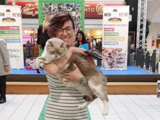 Successo per la prima edizione del contest "Musin Musetti"