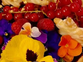 Dolci d'Italia 2024: la dolcezza invade Spoleto dal 1 al 3 novembre