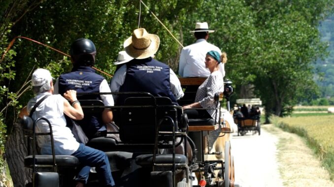 Equitazione e Inclusione: Forum a Assisi il 15 ottobre