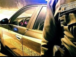 Pitbull aggredisce una signora a Terni