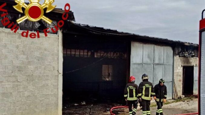 Incendio in stalla a Castiglione Vigili intervengono per salvare animali