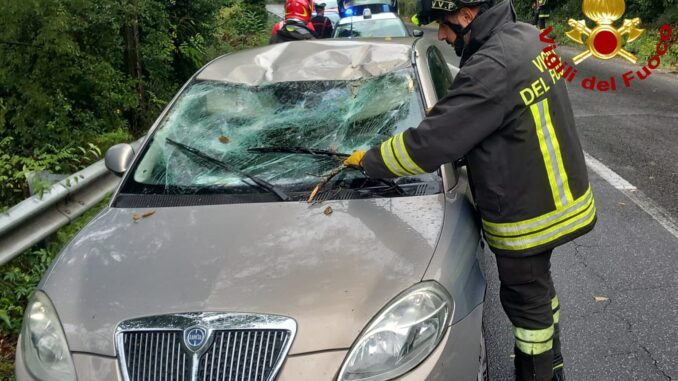 Maltempo: ramo si spessa e cade sopra auto in transito, salvi per miracolo