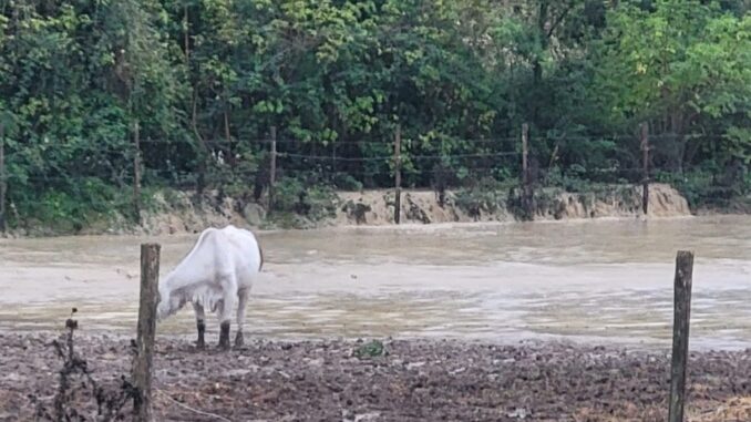 Maltempo in Umbria: allagamenti e frane colpiscono i campi