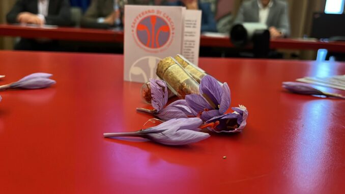 Countdown per la 23a Mostra Mercato dello Zafferano di Cascia