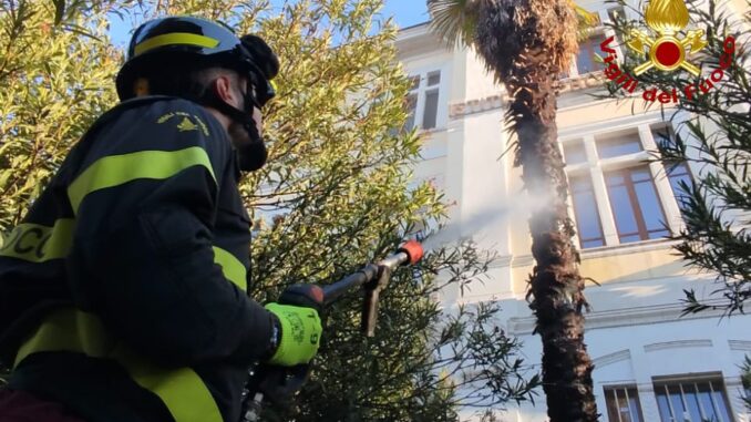 Incendio palma davanti all’IPSIA di Terni, evacuata scuola
