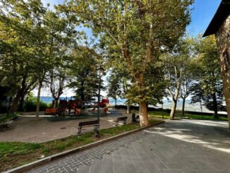 Riqualificazione parco di viale Carducci: investimenti 193mila euro