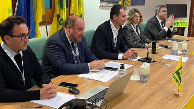 Firmato accordo di filiera per l'olio DOP Umbria