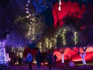 Albero di Natale di Castiglione del Lago, preparativi a gonfie vele