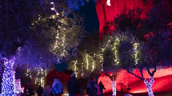 Albero di Natale di Castiglione del Lago, preparativi a gonfie vele