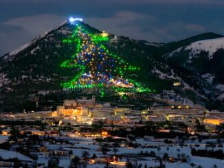 Albero di Natale di Gubbio: conferenza stampa il 23 novembre