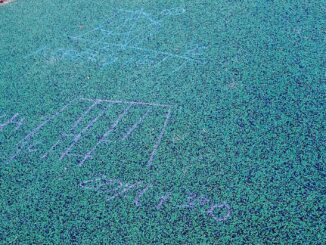 Atti vandalici al Parco Pascoletti: nuova incursione in pieno giorno