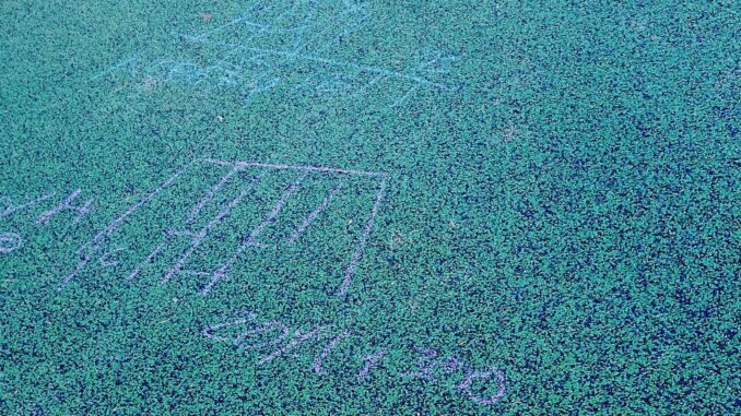 Atti vandalici al Parco Pascoletti: nuova incursione in pieno giorno