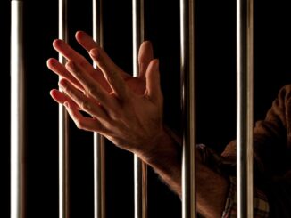 Barcaioli: "Sovraffollamento e carenza di risorse sono gravi"