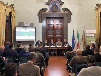 In Umbria nuovi olivi resistenti a stress climatici e fitopatie