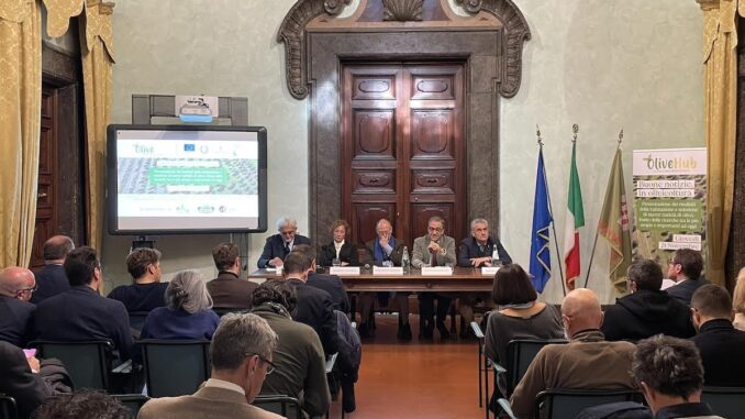 In Umbria nuovi olivi resistenti a stress climatici e fitopatie