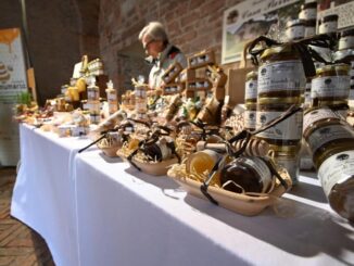 Sostegni agli apicoltori: nuove misure contro insetti alieni