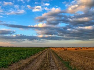 Anticipi pagamenti per domande a superficie 2024 in Umbria