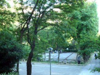 Escche avvelenate nel Parco Sant’Anna: ordinanza immediata