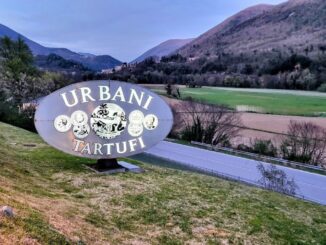 Urbani Tartufi Risponde alle Informazioni Improvvisate