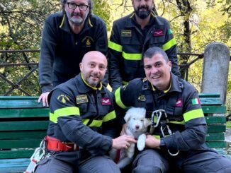 Cucciolo di pastore maremmano salvato da un dirupo a Spoleto 
