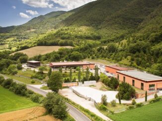 Premio di Laurea "Urbani Tartufi", due vincitrici ex aequo