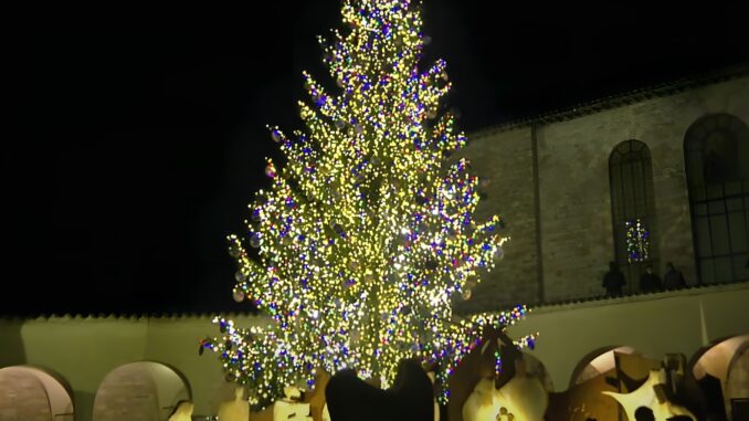 Natale ad Assisi: accensione dell’albero e videoproiezione  