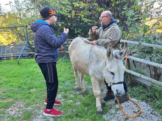 Pet therapy, l’asino come alleato per chi ha disturbi cognitivi