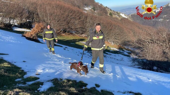 Intervento di salvataggio per un cane bloccato a Monte Cucco