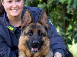 Esercitazione cani Guardia di Finanza. Dimostrazione piazza Bacio