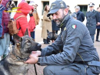 GDF Perugia, incontro educativo con le unità cinofile antidroga