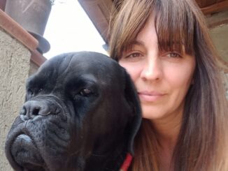  Dramma, violenza e condizione insostenibile per animali e famiglie