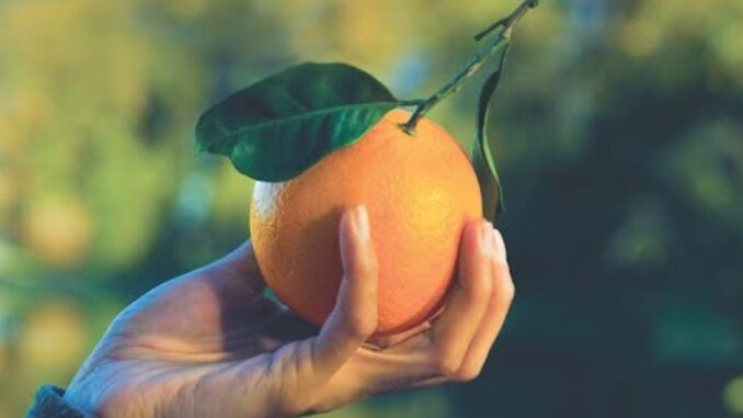 AIRC celebra 60 anni con mobilitazione in Umbria