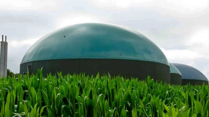 Filipponi chiede chiarimenti sull'iter del biodigestore Ponte Caldaro