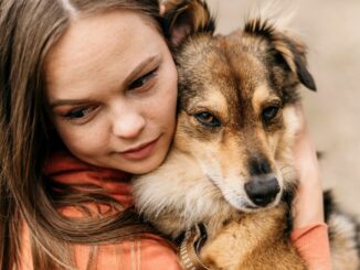 Terni, adozione di 6 cani: i risparmi investiti in parchi e giochi