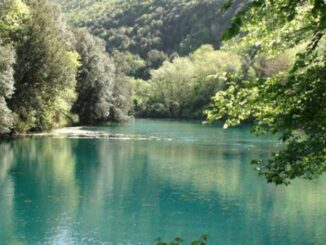 Siccità: Coldiretti Umbria chiede piano invasi