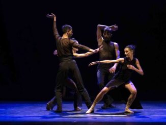 Teatri in Rete 2024 si conclude con successo