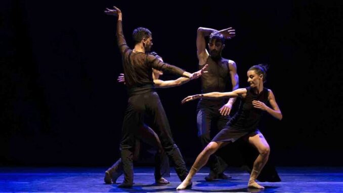 Teatri in Rete 2024 si conclude con successo
