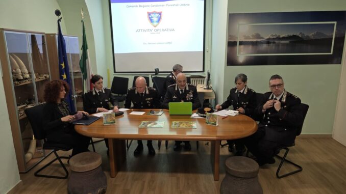 Carabinieri Forestale Umbria, aumentano i reati nel 2024, +41% e 745 contestazioni