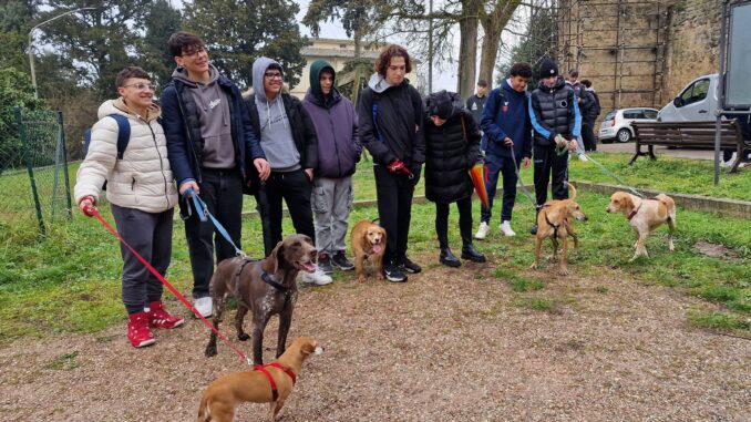 Iniziative di cura per studenti a Perugia