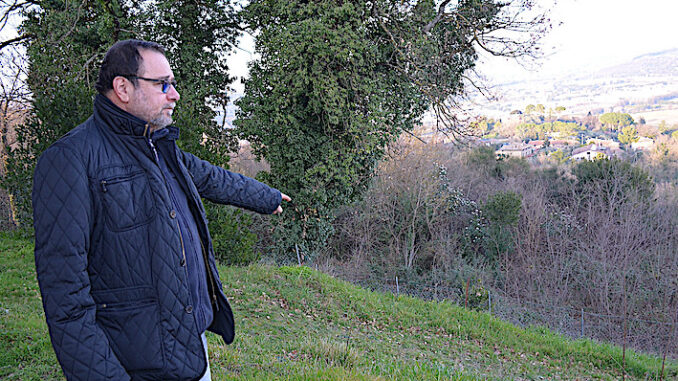 Lupi a Casaglia: avvistamenti e convivenza