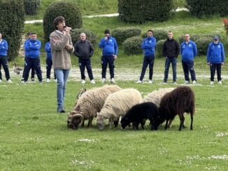“Scelgo la Vita” mostra di Sheepdog alla Comunità Incontro