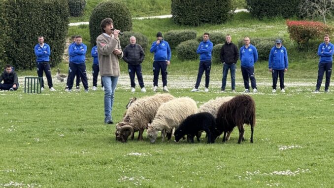 “Scelgo la Vita” mostra di Sheepdog alla Comunità Incontro