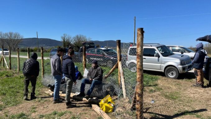 Sanzioni per oltre 12.000 euro a un'azienda agricola di Narni