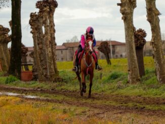 Debutto trionfante Costanza Laliscia endurance a Travagliato 25