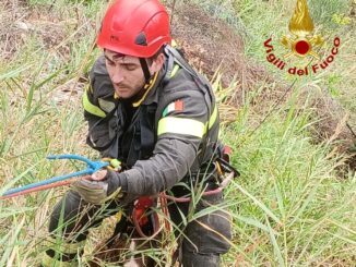 Cane salvato in un calanco a San Vito