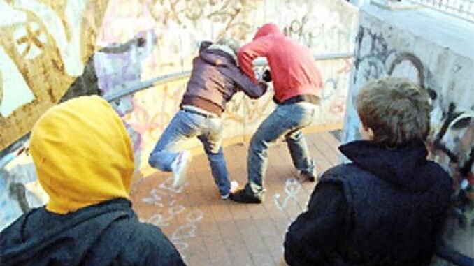 Studenti preoccupati per la sicurezza, richiesta di intervento urgente