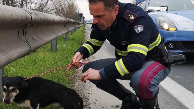 Un atto di cura e attenzione da parte della Polizia