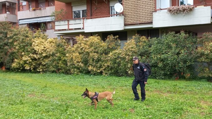 Terni, unità cinofila antiveleno dei Carabinieri nei parchi