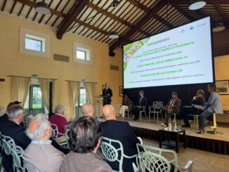 Nasce in Umbria una comunità energetica a scala regionale