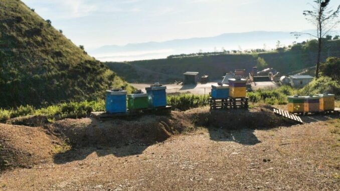 Api e cave, l’Umbria lancia progetto per la biodiversità